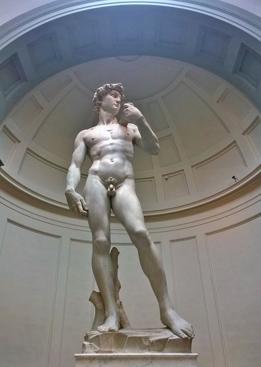 Il David scolpito da Michelangelo ed oggi ospitato nella Galleria dell'Accademia a Firenze
